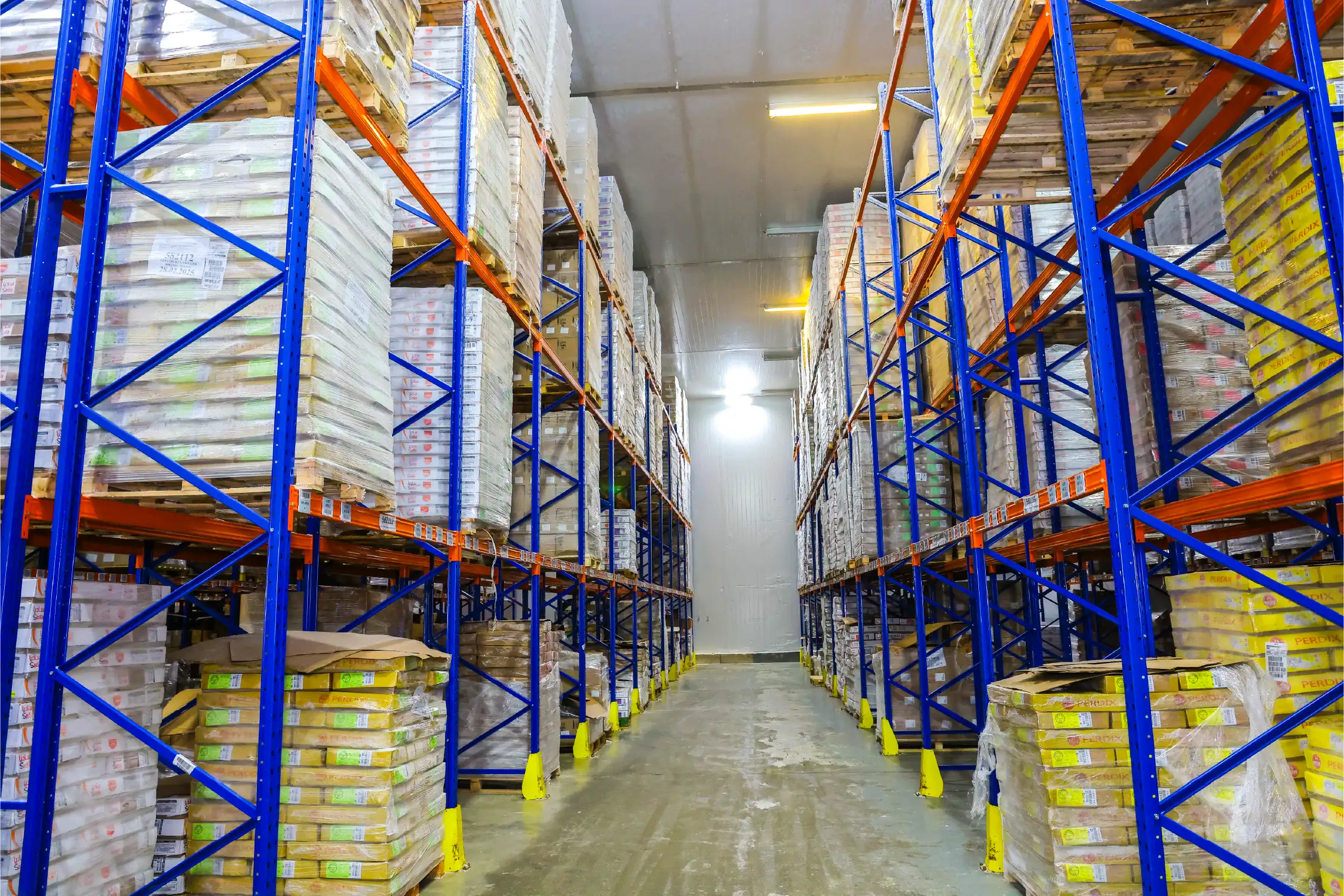 Preserving Freshness: SHAR Constructs Central Cold Stores in Al Khomrah District, Jeddah