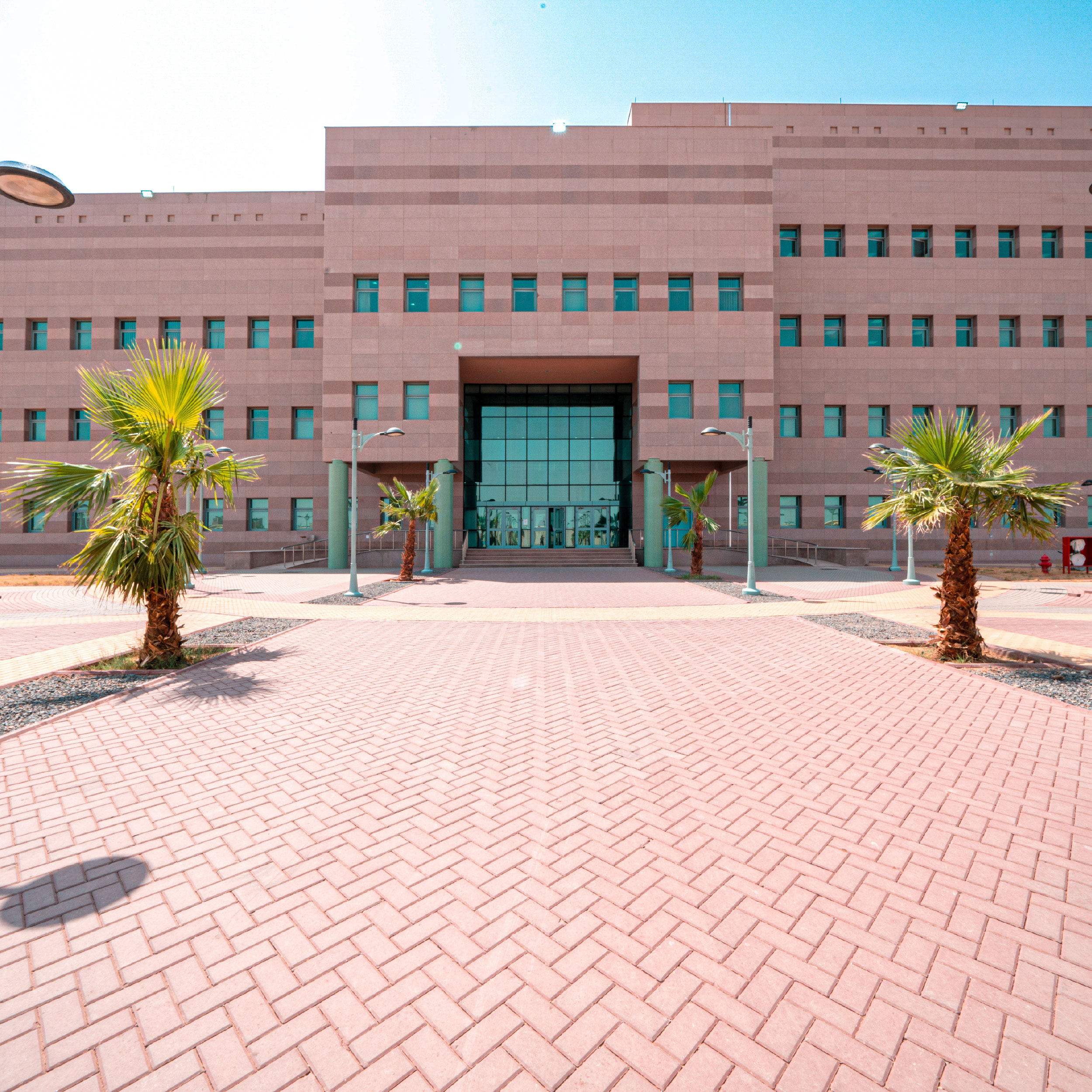 College-Education-Tabuk Image 3