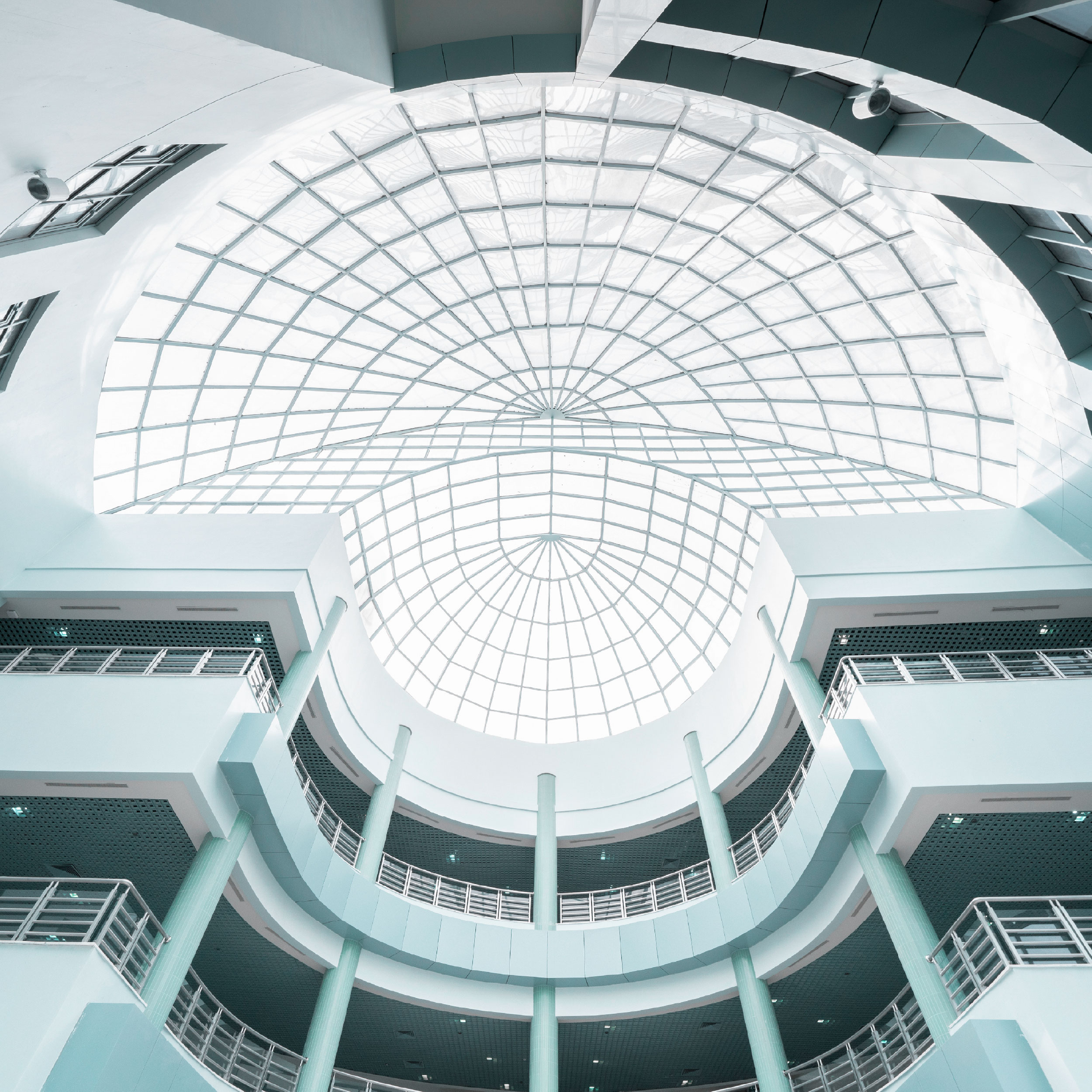 College-Medicine-Tabuk Image 2
