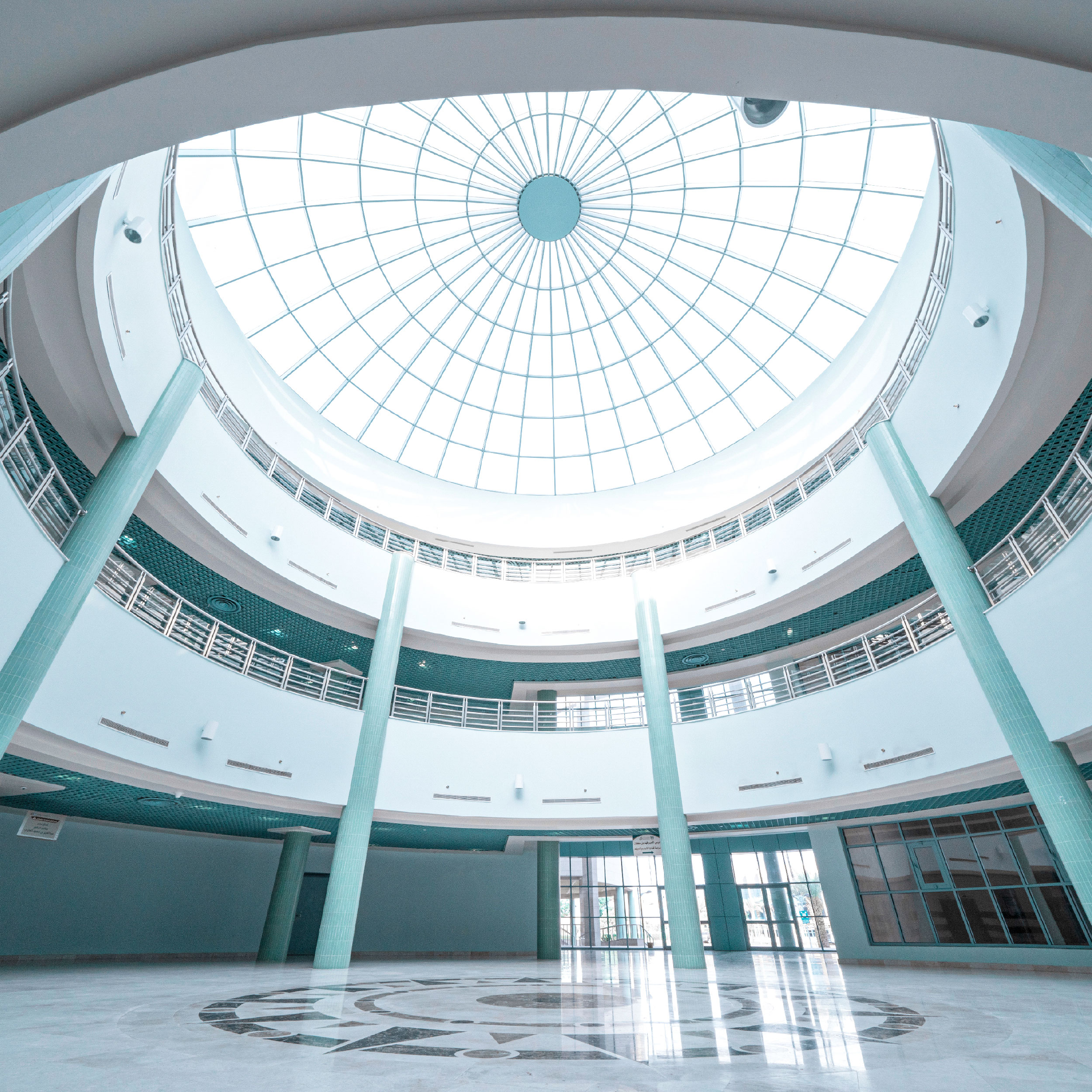 College-Medicine-Tabuk Image 4